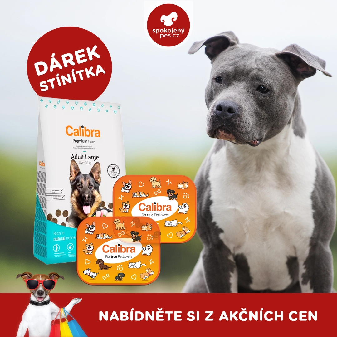 dog12 - kopie.webp